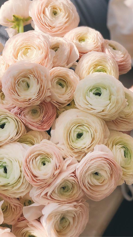 Enchanted Garden Blossom Array